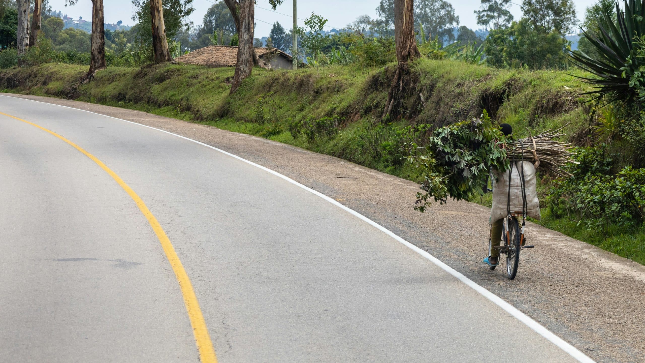 A completed sealed road curving through green countryside, with a road user travelling along it.